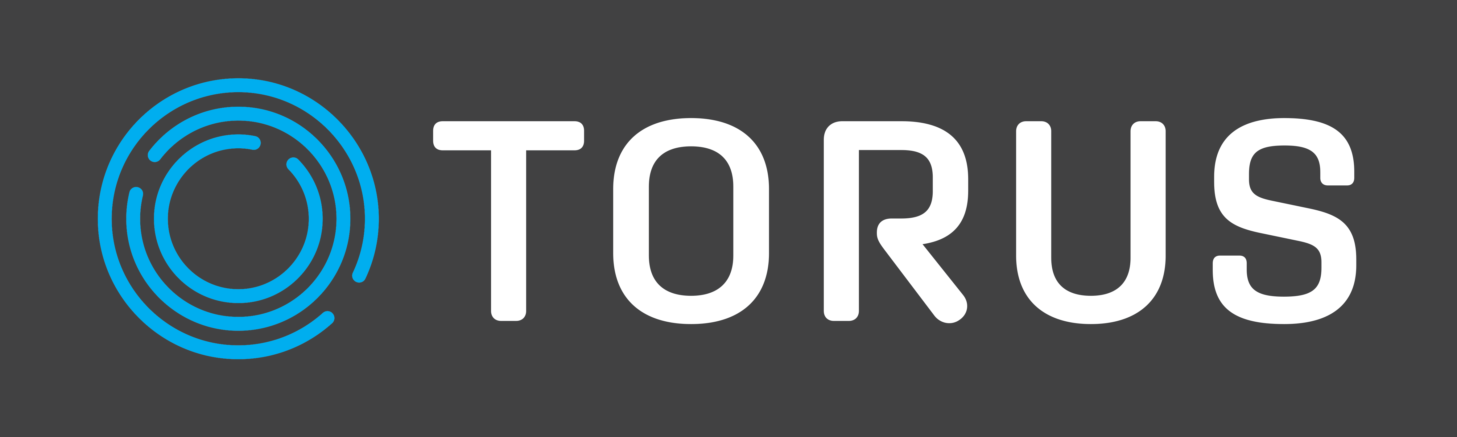 Torus Technology logo